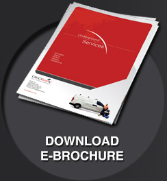 Download E-brochure